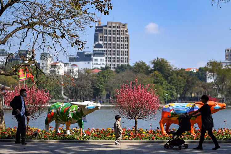 Pho phuong Ha Noi anh 3