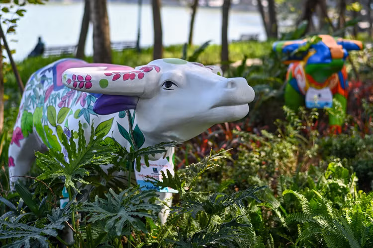 Pho phuong Ha Noi anh 4