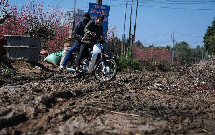 dao Nhat Tan e khach anh 7