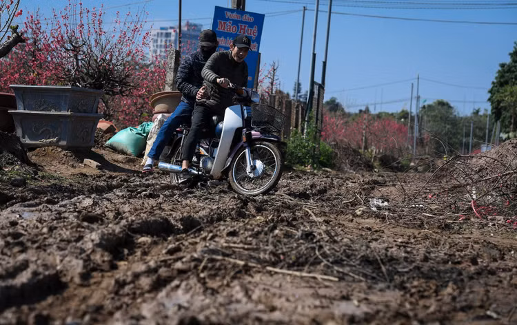 dao Nhat Tan e khach anh 7