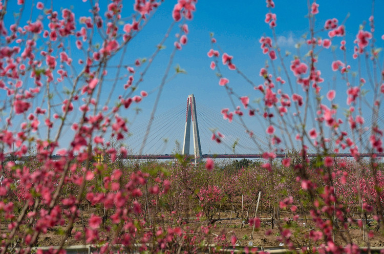 dao Nhat Tan e khach anh 1