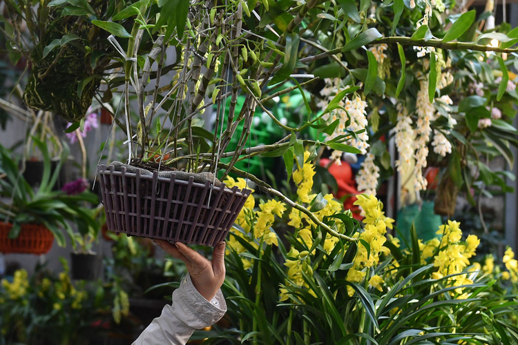 un tac giao thong ngay Tet o Ha Noi anh 9