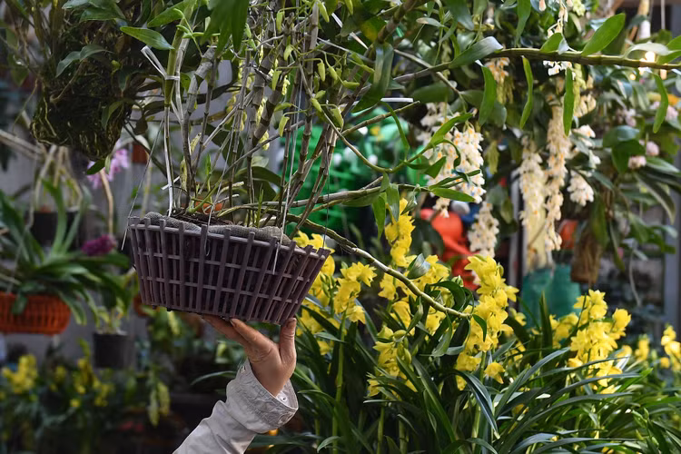 un tac giao thong ngay Tet o Ha Noi anh 9