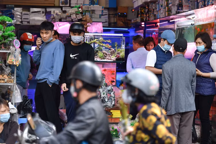 un tac giao thong ngay Tet o Ha Noi anh 17