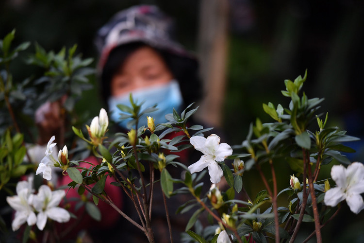 un tac giao thong ngay Tet o Ha Noi anh 10