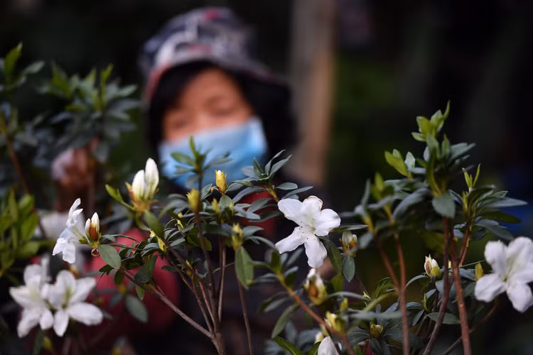 un tac giao thong ngay Tet o Ha Noi anh 10