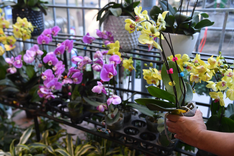 un tac giao thong ngay Tet o Ha Noi anh 14