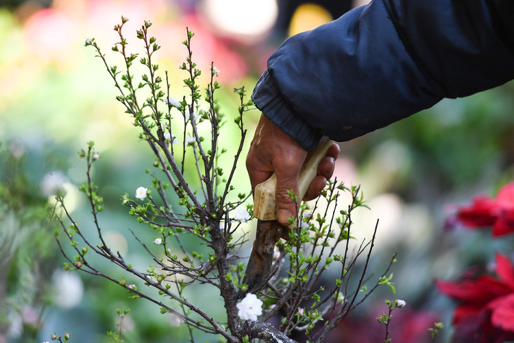 un tac giao thong ngay Tet o Ha Noi anh 7
