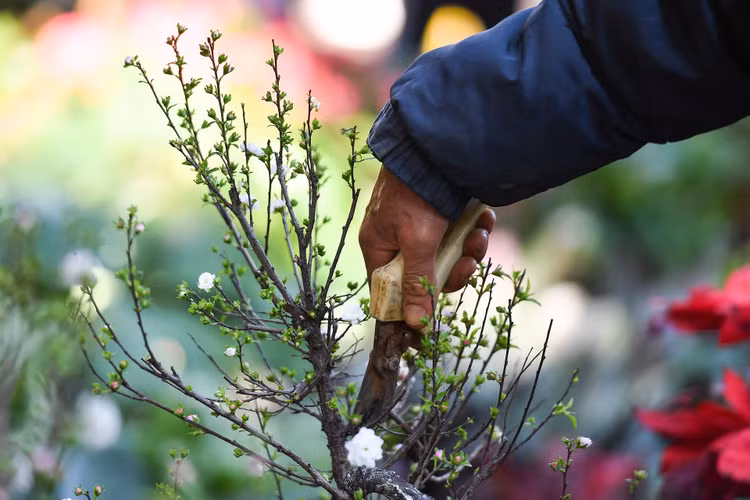 un tac giao thong ngay Tet o Ha Noi anh 7