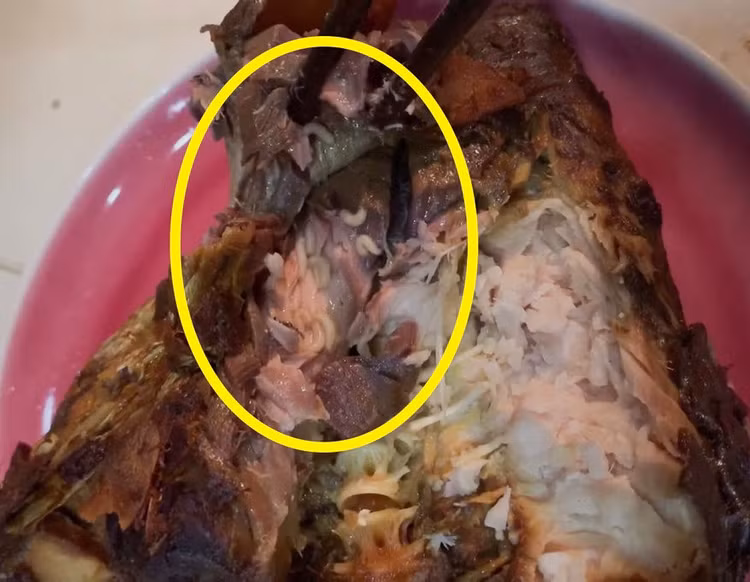 thuc an co gioi anh 1