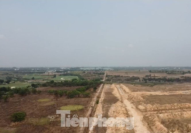 Vì sao nguyên Cục trưởng Thuế Bình Dương và thuộc cấp bị bắt? - ảnh 3