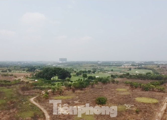 Vì sao nguyên Cục trưởng Thuế Bình Dương và thuộc cấp bị bắt? - ảnh 6