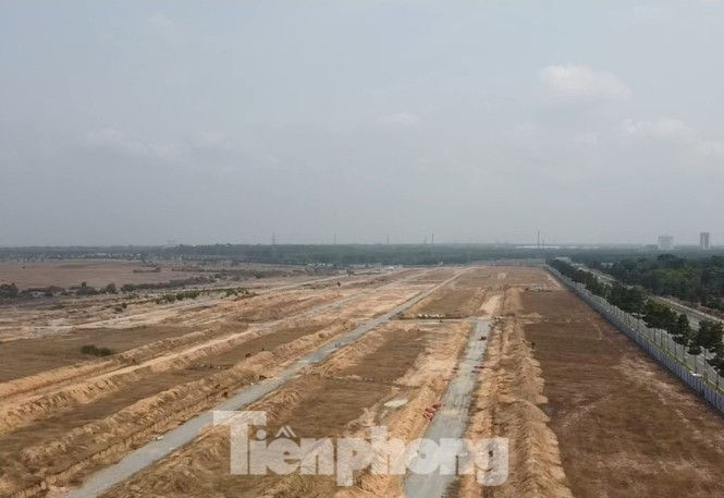 Vì sao nguyên Cục trưởng Thuế Bình Dương và thuộc cấp bị bắt? - ảnh 1