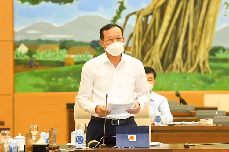 Đề xuất tổ chức phiên toà trực tuyến ảnh 1 Phó Chánh án Tòa án nhân dân tối cao Nguyễn Trí Tuệ trình bày báo cáo. Ảnh: Quốc hội