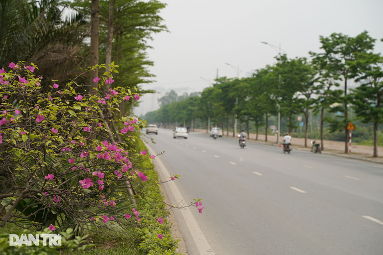 Toàn cảnh tuyến đường hơn 7.500 tỷ đồng kết nối 4 quận, huyện ở Hà Nội - 7