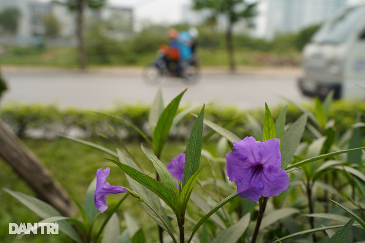 Toàn cảnh tuyến đường hơn 7.500 tỷ đồng kết nối 4 quận, huyện ở Hà Nội - 8