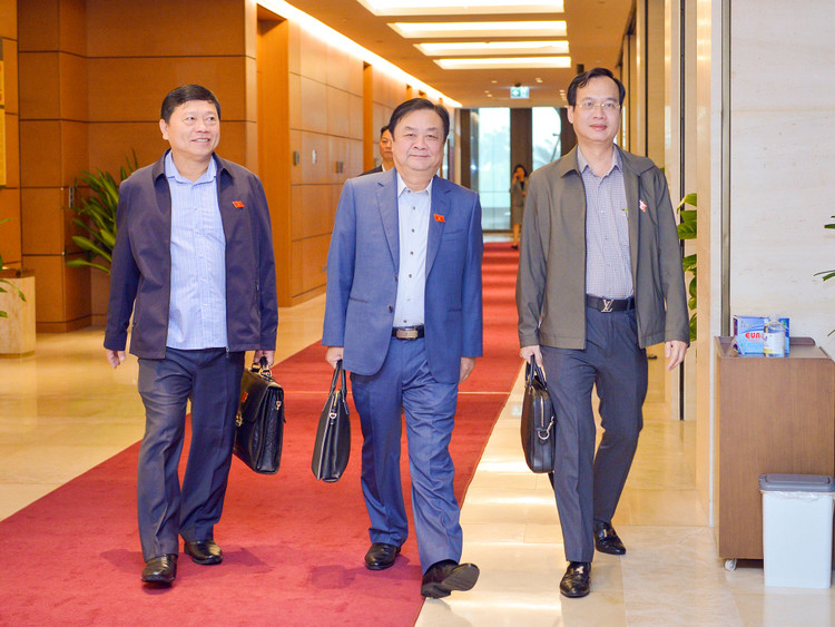 HÌNH ẢNH BÊN LỀ PHIÊN HỌP QUỐC HỘI NGÀY 26/3, KỲ HỌP THỨ 11 QUỐC HỘI KHOÁ XIV ảnh 13