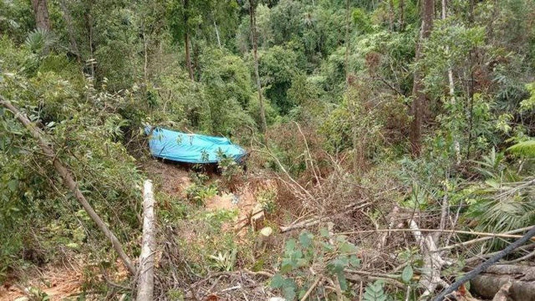Các vị trí khai thác vàng trái phép nằm trong lõi rừng phòng hộ thuộc Tiểu khu 393 do Ban Quản lý rừng phòng hộ Nam Đông quản lý.