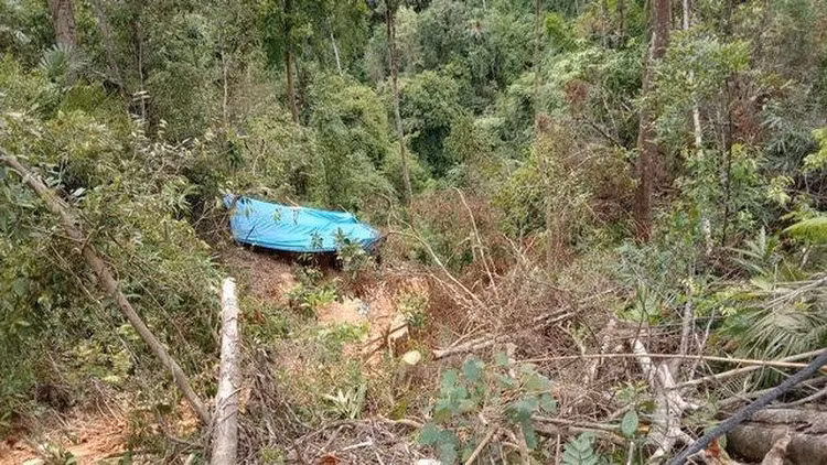 Các vị trí khai thác vàng trái phép nằm trong lõi rừng phòng hộ thuộc Tiểu khu 393 do Ban Quản lý rừng phòng hộ Nam Đông quản lý.