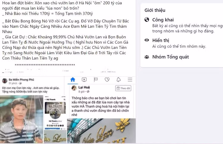 Công an điều tra vụ chủ vườn lan bị tố 'ôm' trăm tỷ của khách hàng rồi bỏ trốn ảnh 1