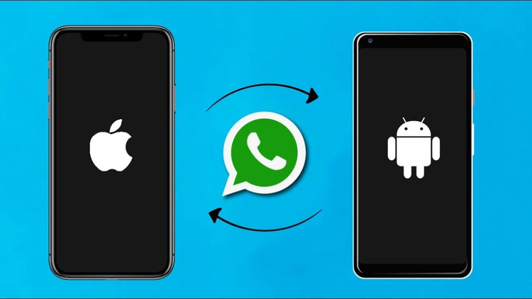 Lịch sử trò chuyện của WhatsApp có thể chuyển đổi giữa iOS và Android /// Ảnh chụp màn hình