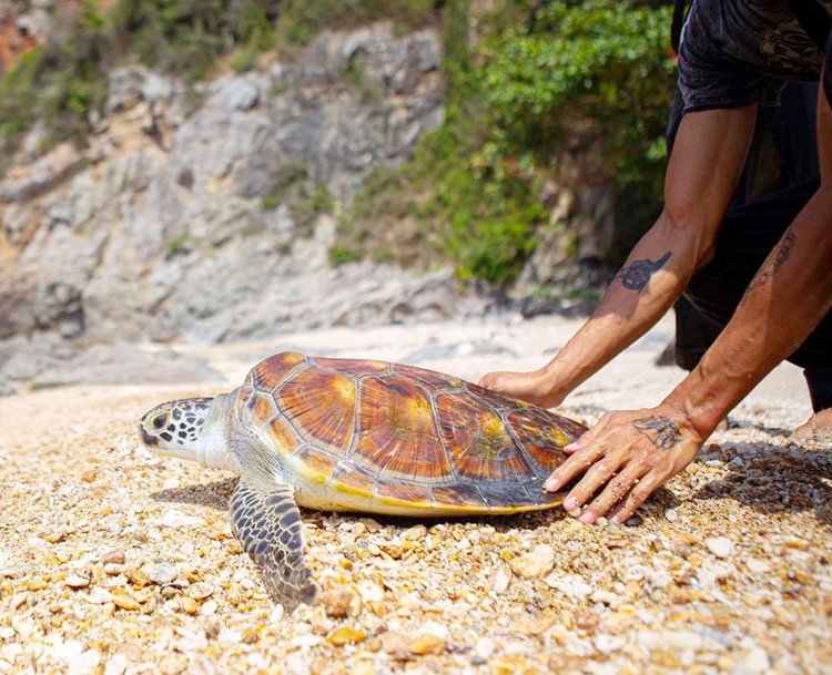 Những người đem cả gia tài 'đổ xuống biển' - ảnh 1