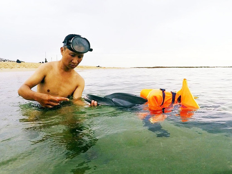 Anh Chiến Lê trong một buổi chăm sóc sinh vật biển cứu hộ /// KEM LY