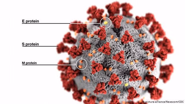 Vì sao chưa thể cấp phép khẩn cấp vắc xin Nanocovax? - 3
