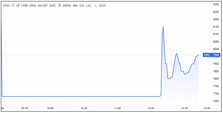 Ban san co phieu HNG, Dong thai moi o HAGL Agrico, Thagrico dung dau tu vao HAGL Agrico anh 1