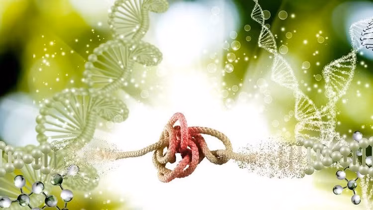 dna-tangles-777x437.jpg