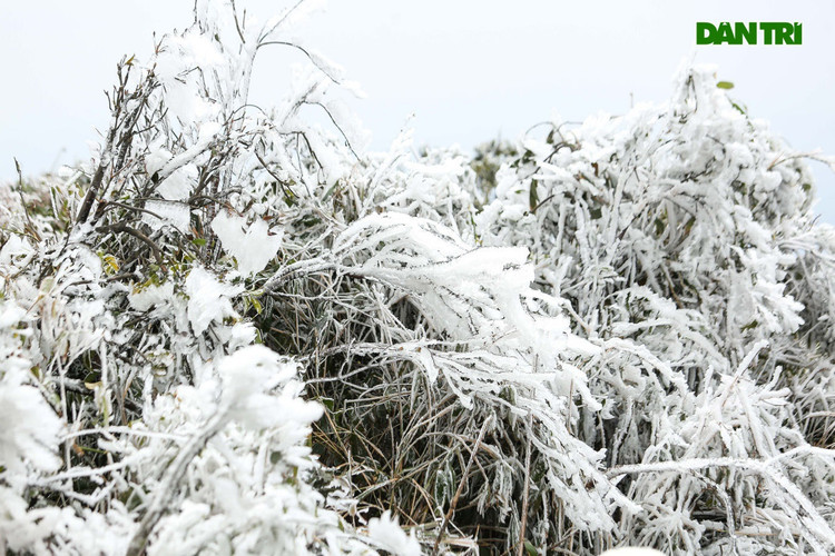 Vùng núi có băng tuyết, hàng trăm nghìn học sinh phải nghỉ tránh rét - 1