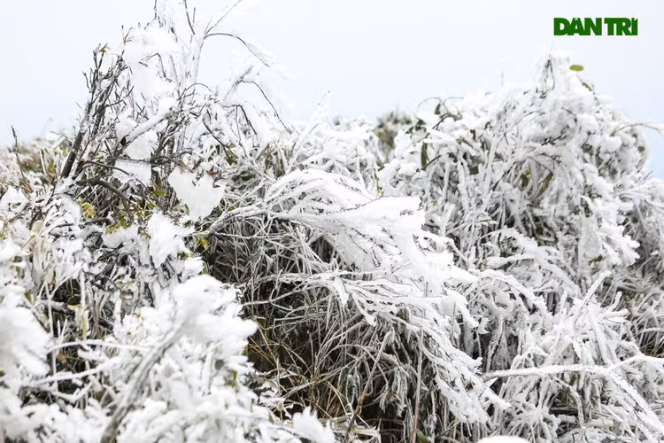 Vùng núi có băng tuyết, hàng trăm nghìn học sinh phải nghỉ tránh rét - 1