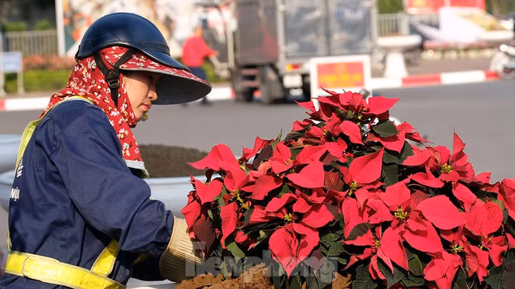 Trung tâm Hội nghị Quốc gia trang hoàng chuẩn bị Đại hội lần thứ XIII của Đảng - ảnh 10