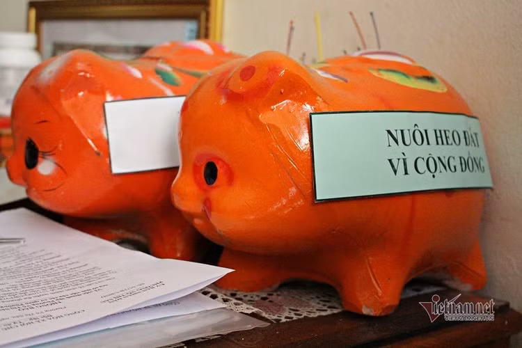 Bà cụ 40 năm nhặt ve chai, nuôi heo đất lo Tết cho người nghèo