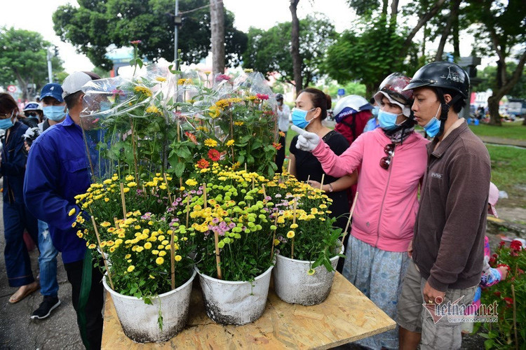 Tiểu thương rướm nước mắt bán tháo, cắt bỏ hoa ế ngày 30 Tết