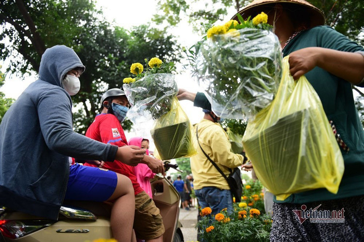 Tiểu thương rướm nước mắt bán tháo, cắt bỏ hoa ế ngày 30 Tết