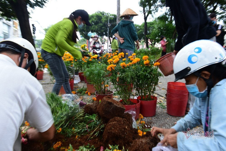 Tiểu thương rướm nước mắt bán tháo, cắt bỏ hoa ế ngày 30 Tết