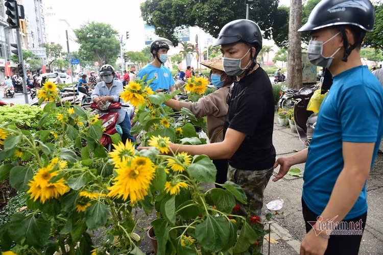 Tiểu thương rướm nước mắt bán tháo, cắt bỏ hoa ế ngày 30 Tết
