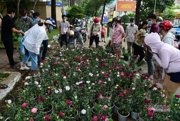 Tiểu thương rướm nước mắt bán tháo, cắt bỏ hoa ế ngày 30 Tết