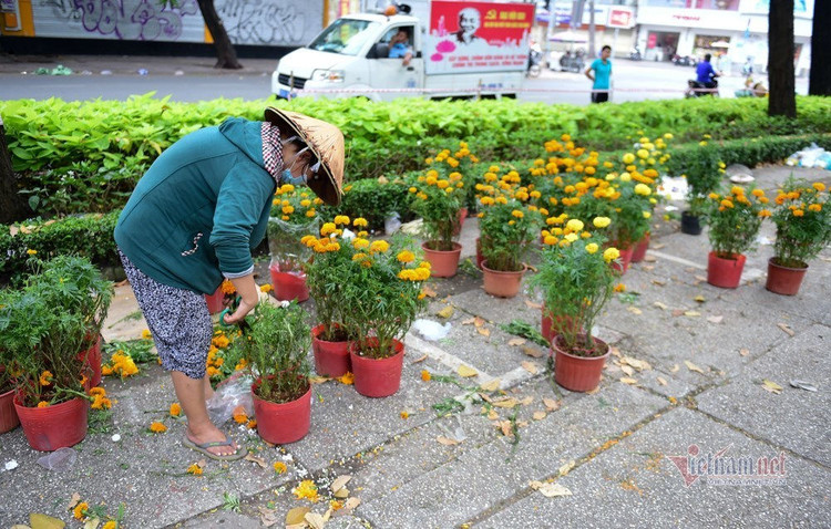 Tiểu thương rướm nước mắt bán tháo, cắt bỏ hoa ế ngày 30 Tết