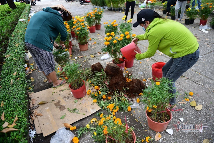 Tiểu thương rướm nước mắt bán tháo, cắt bỏ hoa ế ngày 30 Tết