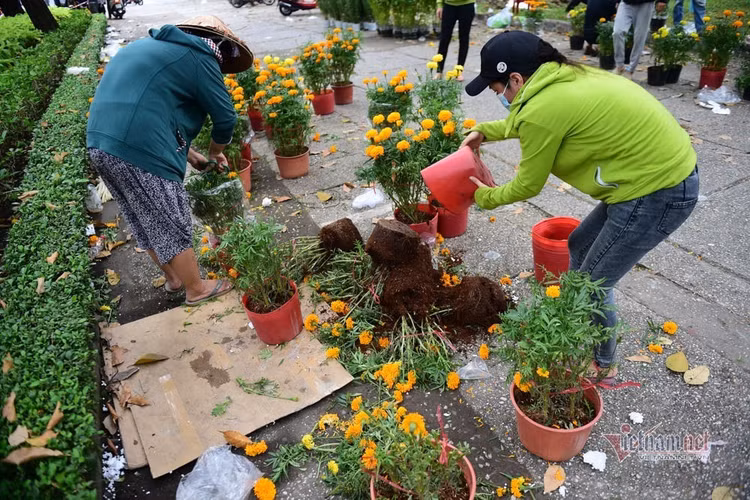 Tiểu thương rướm nước mắt bán tháo, cắt bỏ hoa ế ngày 30 Tết