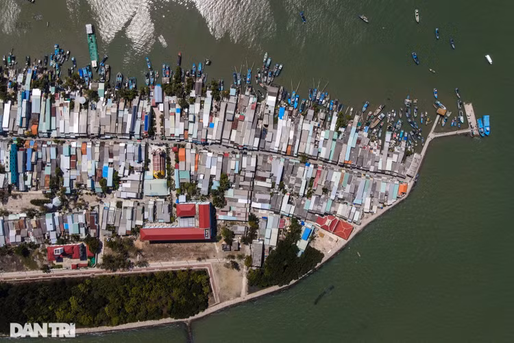 Những hoạt động nào ở TPHCM dự kiến được mở dần thời gian tới? - 6