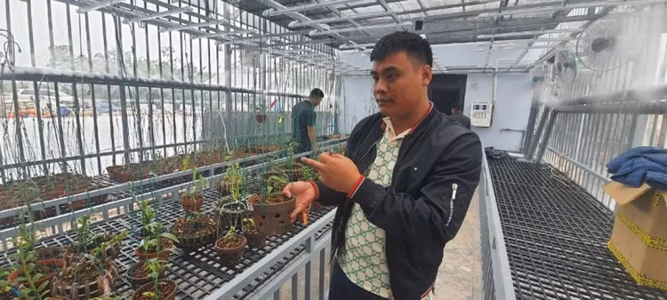 Cơ quan chức năng ở Quảng Ninh lên tiếng về vụ mua bán lan đột biến gần 300 tỷ đồng ảnh 1