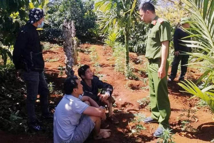 Hai anh em trong can sa anh 1