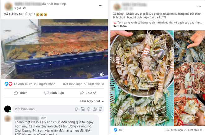 Nhà hàng buffet trở tay không kịp, xả cua Cà Mau, tôm hùm, cầu cứu khách trước giờ dừng bán - Ảnh 3.