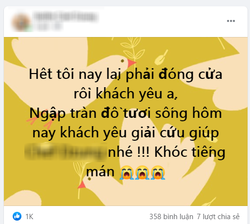 Nhà hàng buffet trở tay không kịp, xả cua Cà Mau, tôm hùm, cầu cứu khách trước giờ dừng bán - Ảnh 2.