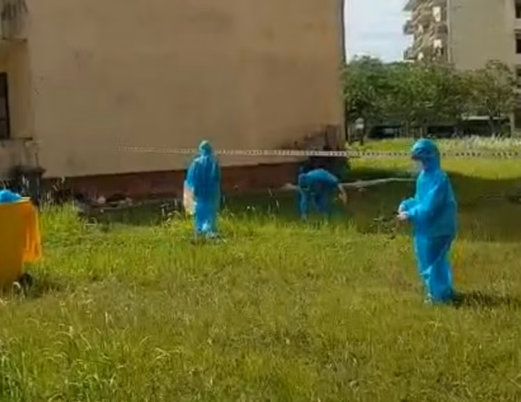 Đánh bài trong khu cách ly, tự nhận mức phạt... mặc đồ bảo hộ đi nhặt rác - ảnh 3