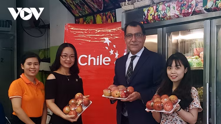 Tạo cầu nối cho sản phẩm Việt tiếp cận thị trường Nam Mỹ ảnh 2