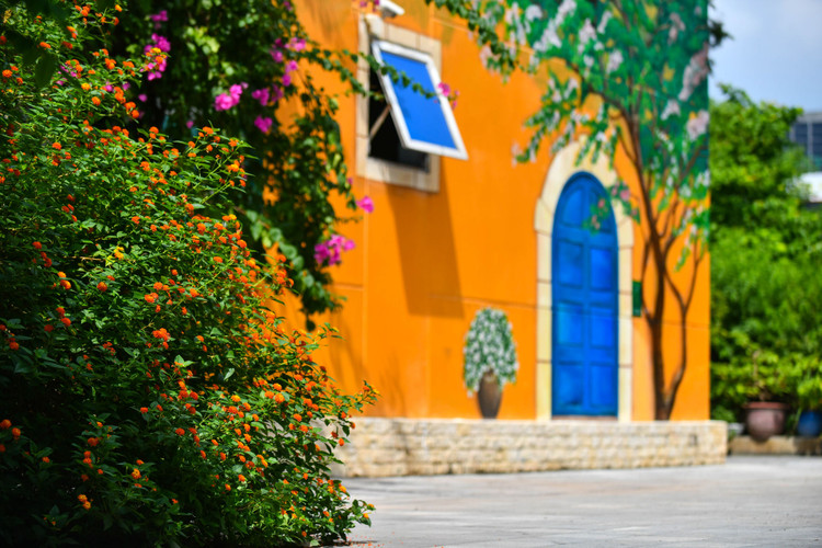 khai giang online anh 2